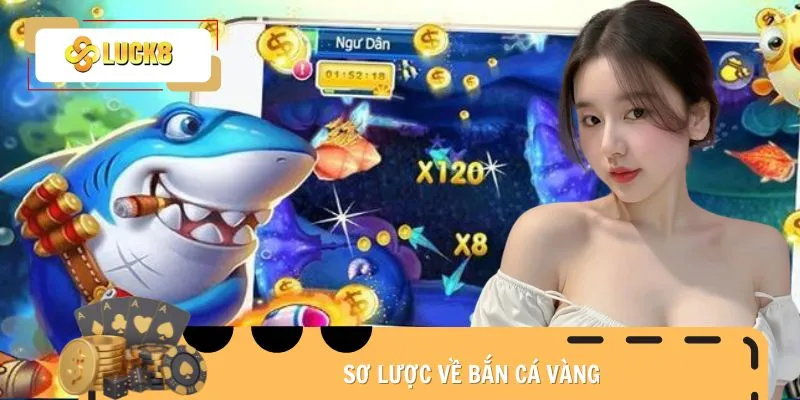 Ban-Ca-Vang-Gioi-thieu