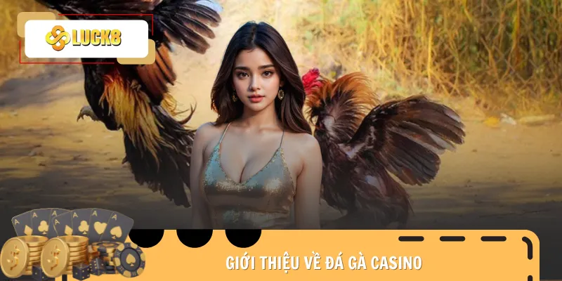 da-ga-casino-gioi-thieu