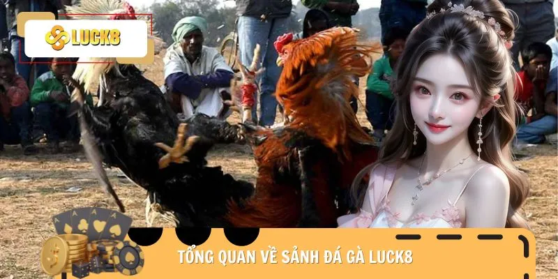 da-ga-luck8-gioi-thieu