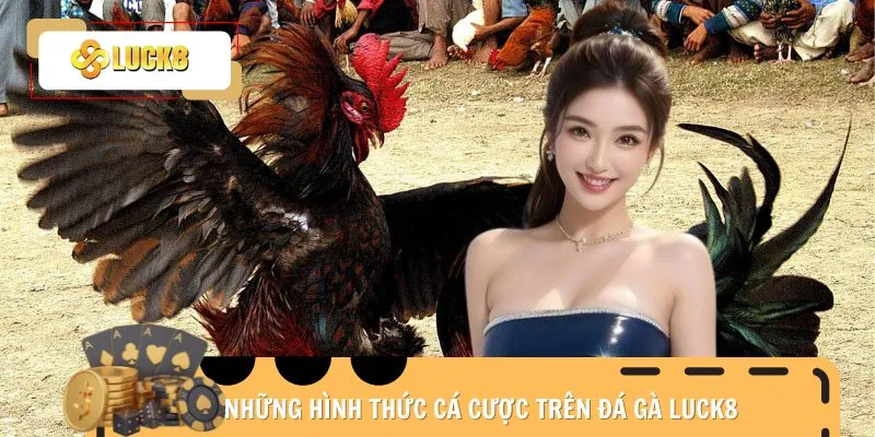 da-ga-luck8-hinh-thuc
