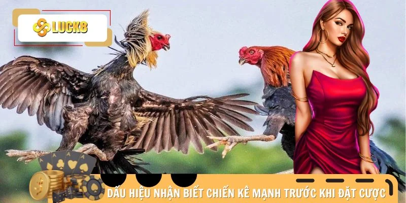 da-ga-thomo-nhan-dien