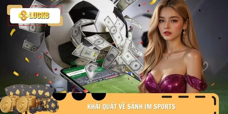 im-sports-khai-niem