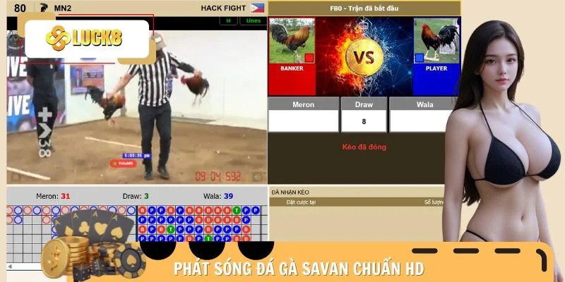 live-da-ga-truc-tiep-truong-ga-savan