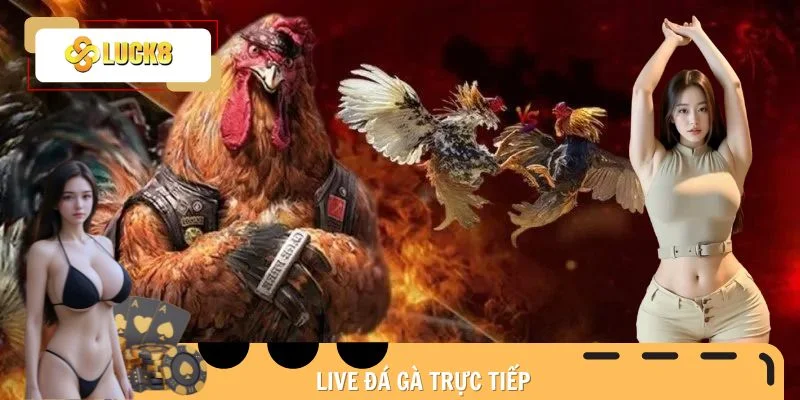 live-da-ga-truc-tiep