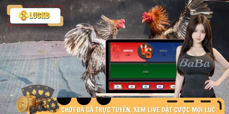 trang-da-ga-uy-tin-hinh-thuc