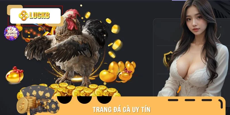 trang-da-ga-uy-tin